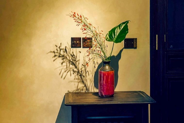 Tam Cốc Garden Resort